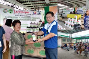 DOST, PLGU-LDN provide plant growth promoter to rice farmers affected by Shear Line