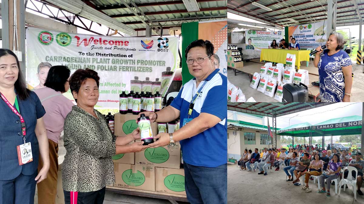 DOST, PLGU-LDN provide plant growth promoter to rice farmers affected by Shear Line