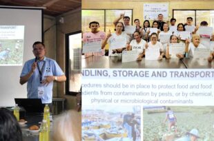 DOST upskills ampao, taro chips producer in Camiguin with Food Safety