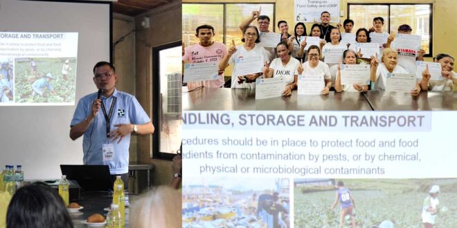 DOST upskills ampao, taro chips producer in Camiguin with Food Safety