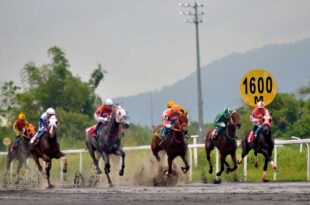 Louiseville tatakbo sa Hopeful Stake Race sa Metro Turf