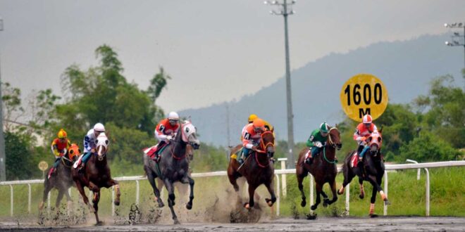 Louiseville tatakbo sa Hopeful Stake Race sa Metro Turf