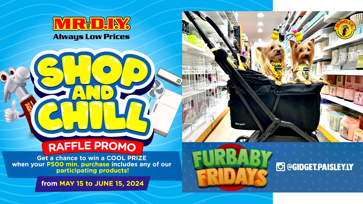 Mr DIY Shop and Chill FEAT