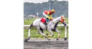 Cam From Behind namuno sa Sampaguita Stakes Race FEAT