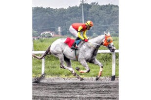 Cam From Behind namuno sa Sampaguita Stakes Race FEAT