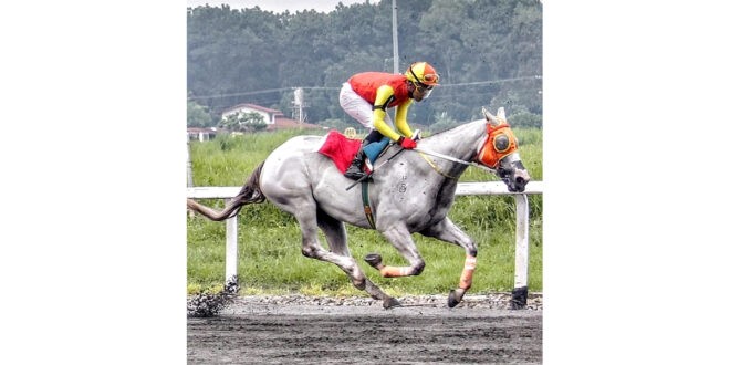 Cam From Behind namuno sa Sampaguita Stakes Race FEAT