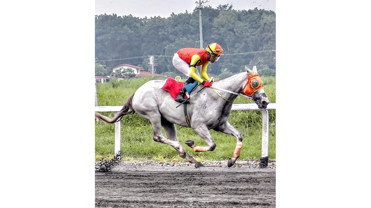 Cam From Behind namuno sa Sampaguita Stakes Race FEAT