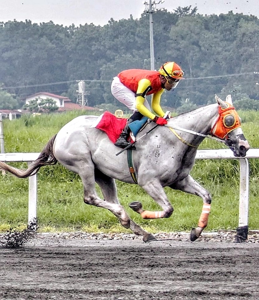 Cam From Behind namuno sa Sampaguita Stakes Race