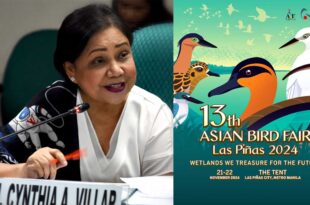 Cynthia Villar Avian biodiversity