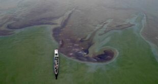 MT Terra Nova oil spill