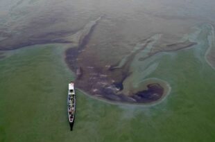 MT Terra Nova oil spill