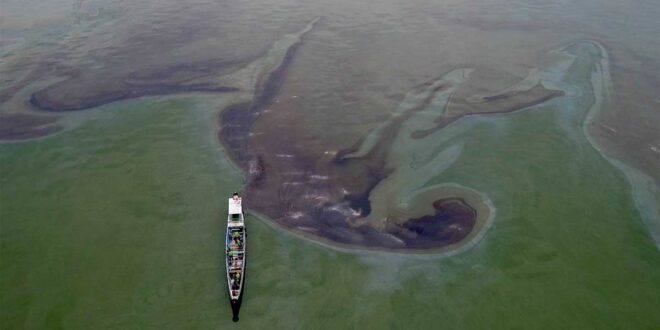 MT Terra Nova oil spill