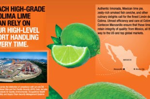 ICTSI Mexico image Ad FEAT