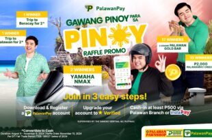 palawan Pay