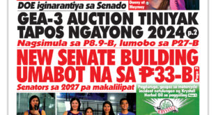 DOE iginarantiya sa Senado <br> GEA-3 AUCTION TINIYAK TAPOS NGAYONG 2024