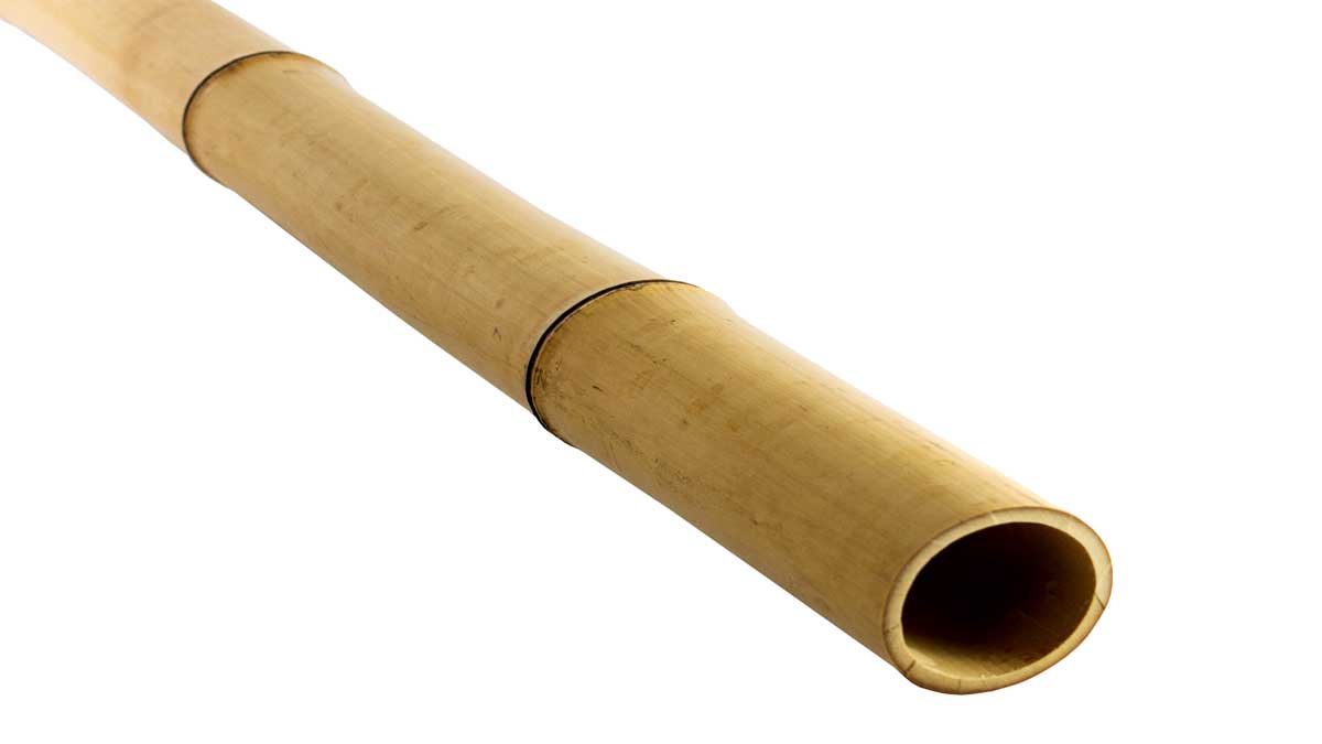 Bamboo Kawayan