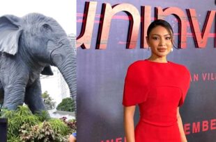 Nadine Lustre Mali Elephant