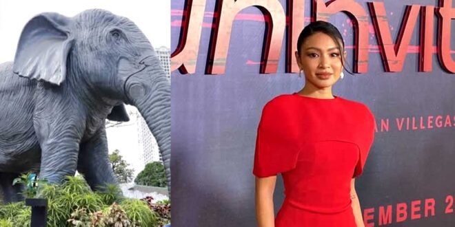 Nadine Lustre Mali Elephant