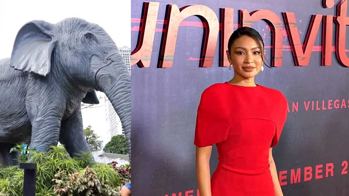 Nadine Lustre Mali Elephant