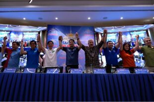 Alyansa Para sa Bagong Pilipinas APBP Senators