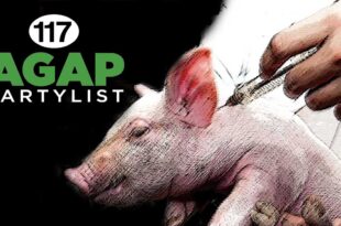 AGAP Partylist ASF Vaccine Pig