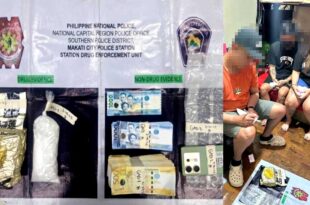 P8.8-M SHABU MAKATI freeze-dried durian