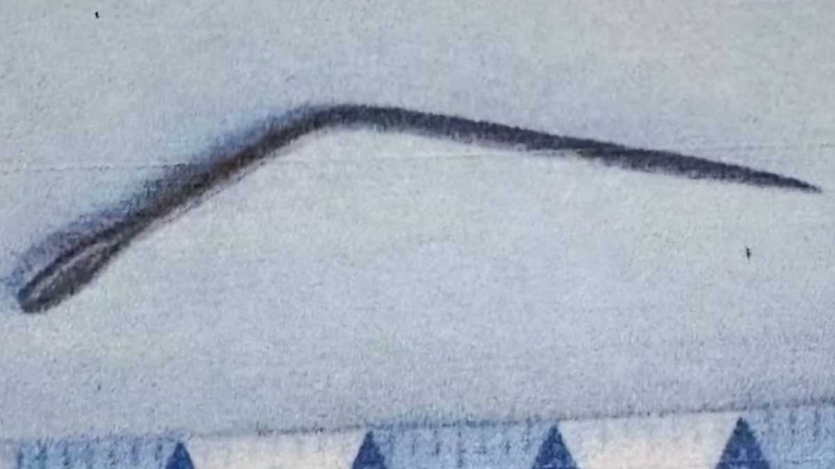 Karayom