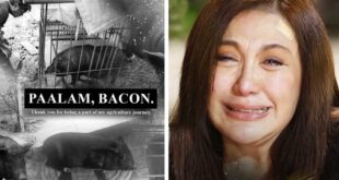 Sharon nagluluksa sa pagkamatay ng alagang baboy 