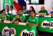 Milo Summer Sports Clinics