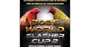 World Slasher Cup 2025, Muling Babandera sa Ikalawang Edisyon sa Big Dome