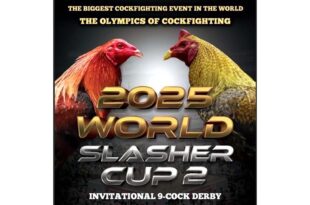 World Slasher Cup 2025, Muling Babandera sa Ikalawang Edisyon sa Big Dome