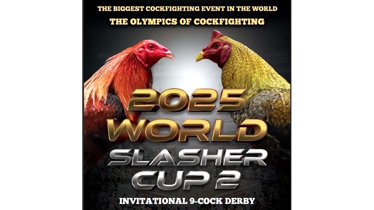 World Slasher Cup 2025, Muling Babandera sa Ikalawang Edisyon sa Big Dome