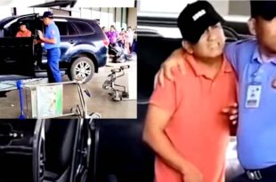 NAIA Accident Driver