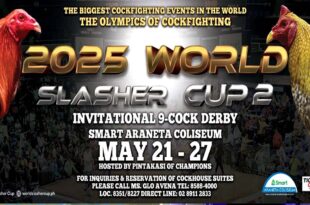 World Slasher Cup 2025