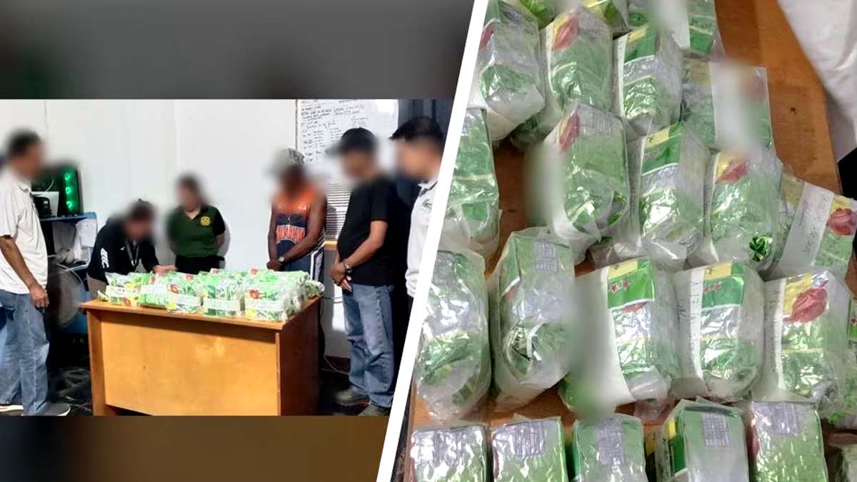Floating shabu natagpuan sa dalampasigan ng Batanes