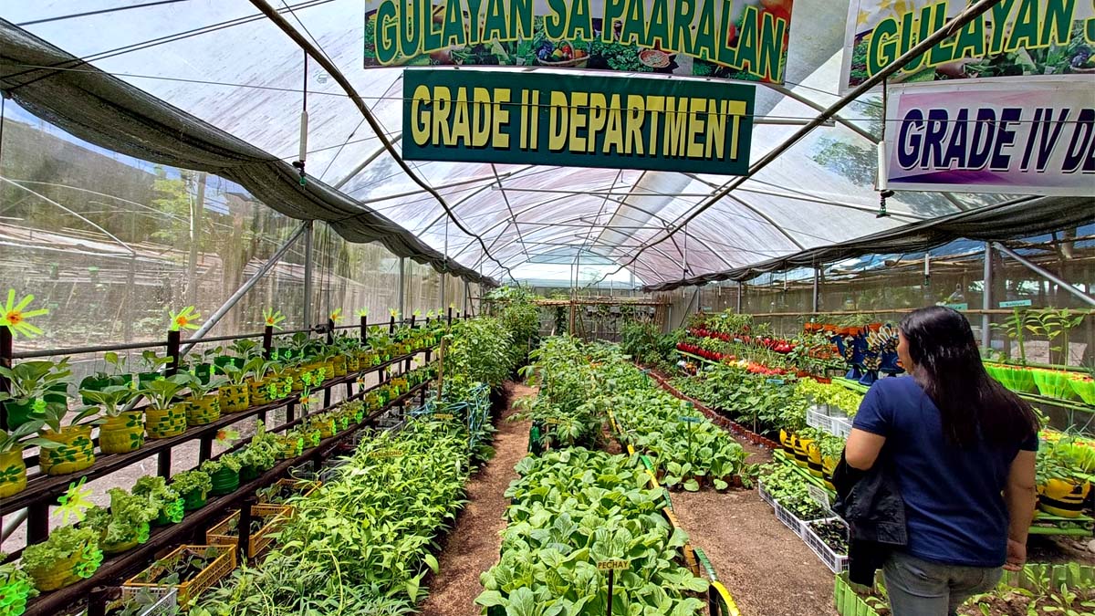 DepEd Gulayan Sa Paaralan