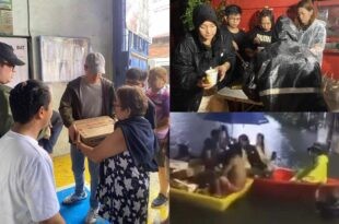 Sylvia Sanchez Arjo Atayde baha