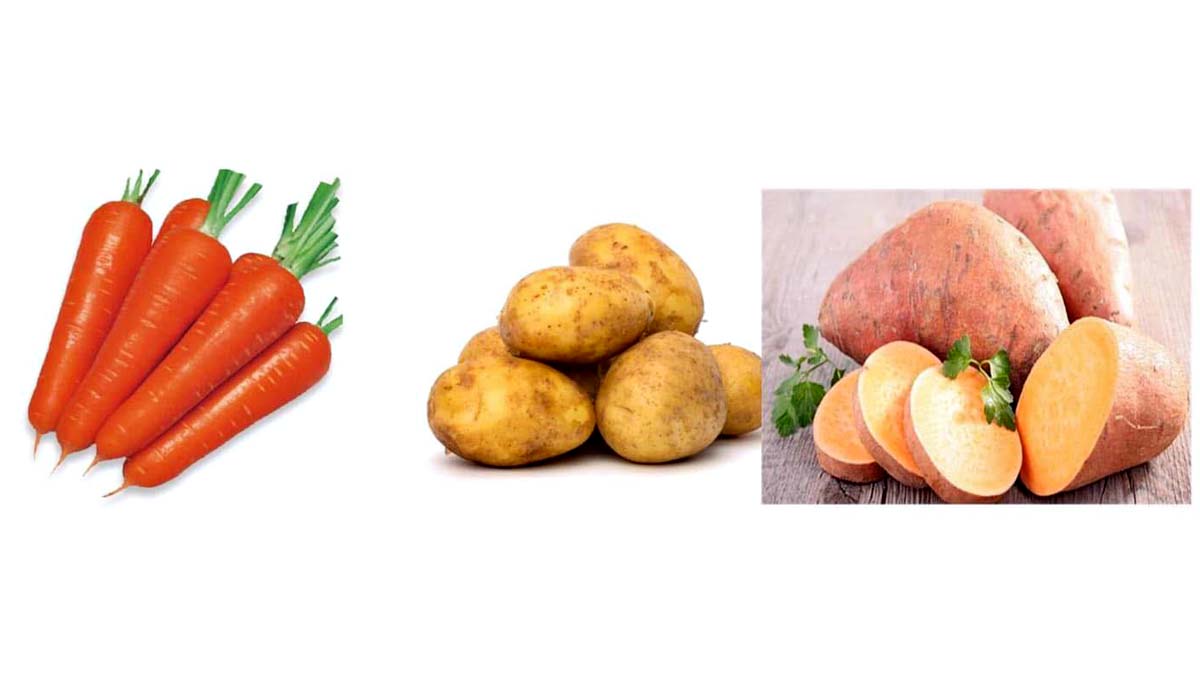 FGO Carot Patatas Kamote