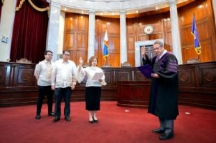 Ma Theresa Dolores C Gomez-Estoesta Supreme Court