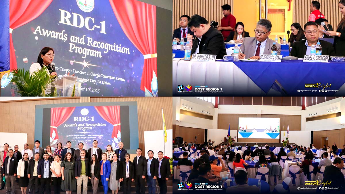 DOST Dayaw ti Agmanman SILNAG Award NSTW