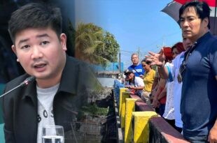 Bong Revilla Jr Brice Hernandez