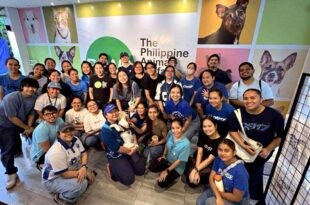 Globe Champions Care for Pets with PAWS and Pettr