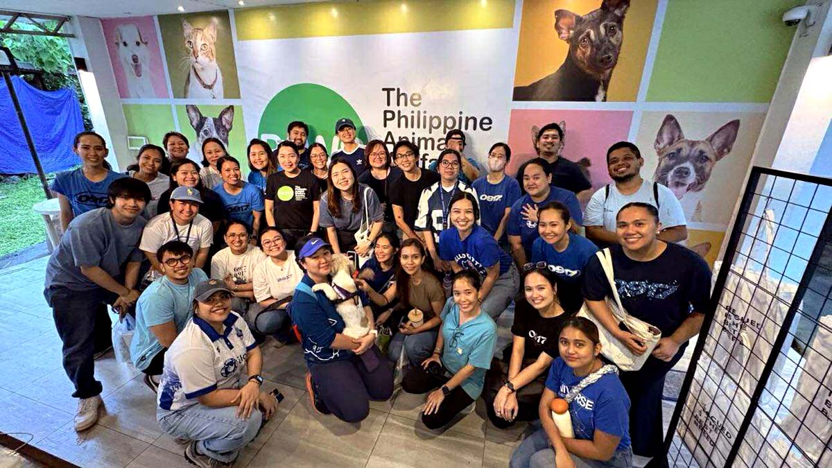 Globe Champions Care for Pets with PAWS and Pettr