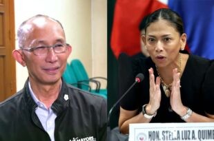 Benjamin Magalong Stella Quimbo