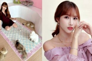 Bianca Tan Meowffin Town Cat Cafe