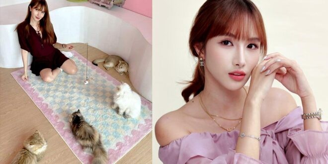 Bianca Tan Meowffin Town Cat Cafe