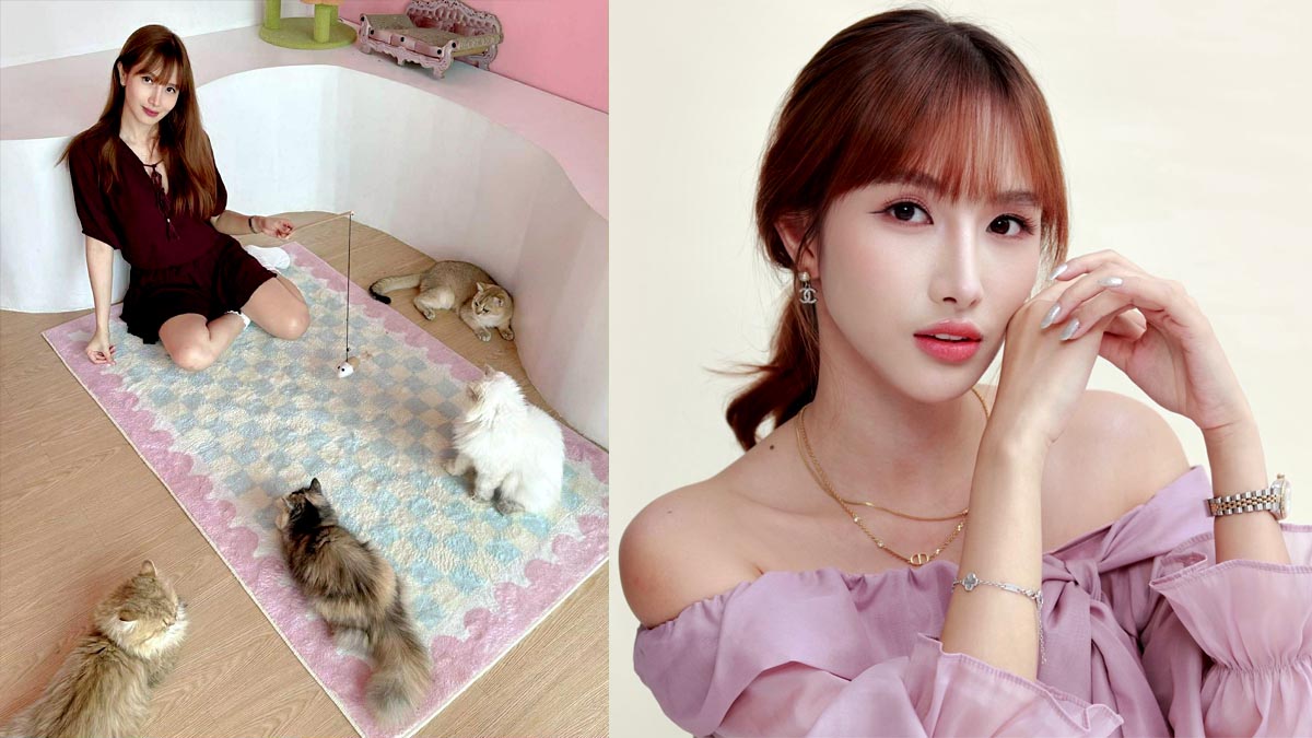 Bianca Tan Meowffin Town Cat Cafe