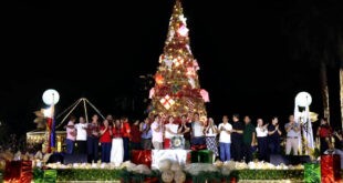 Taguig Xmas tree