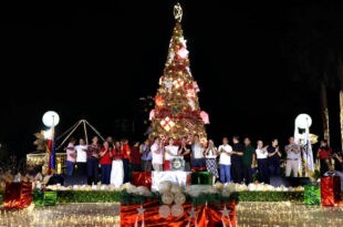 Taguig Xmas tree