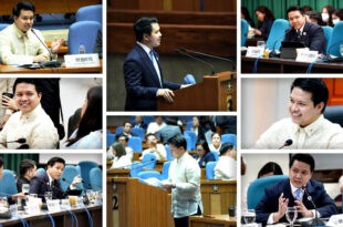 Brian Poe Llamanzares 2